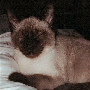 Meet your Posher, Ethan